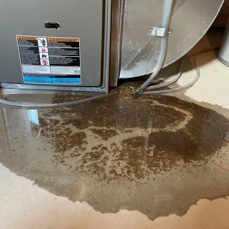 Appliance Leak Cleanup in Hinds County, MS